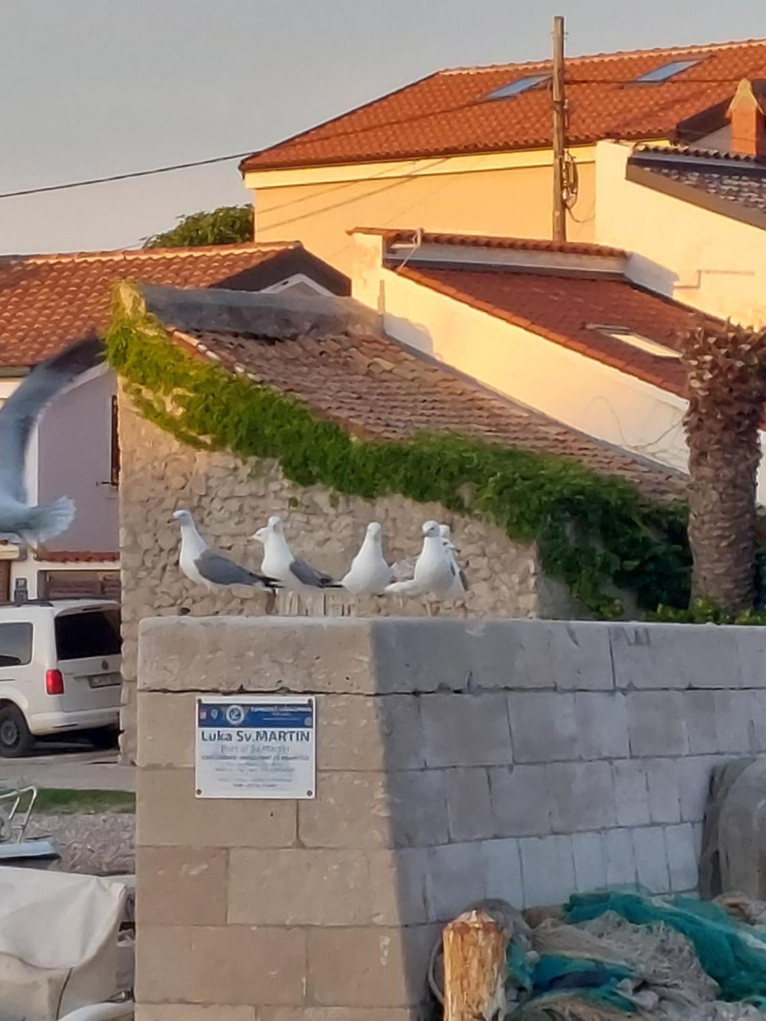 Apartments Suncica Mali Lošinj Εξωτερικό φωτογραφία