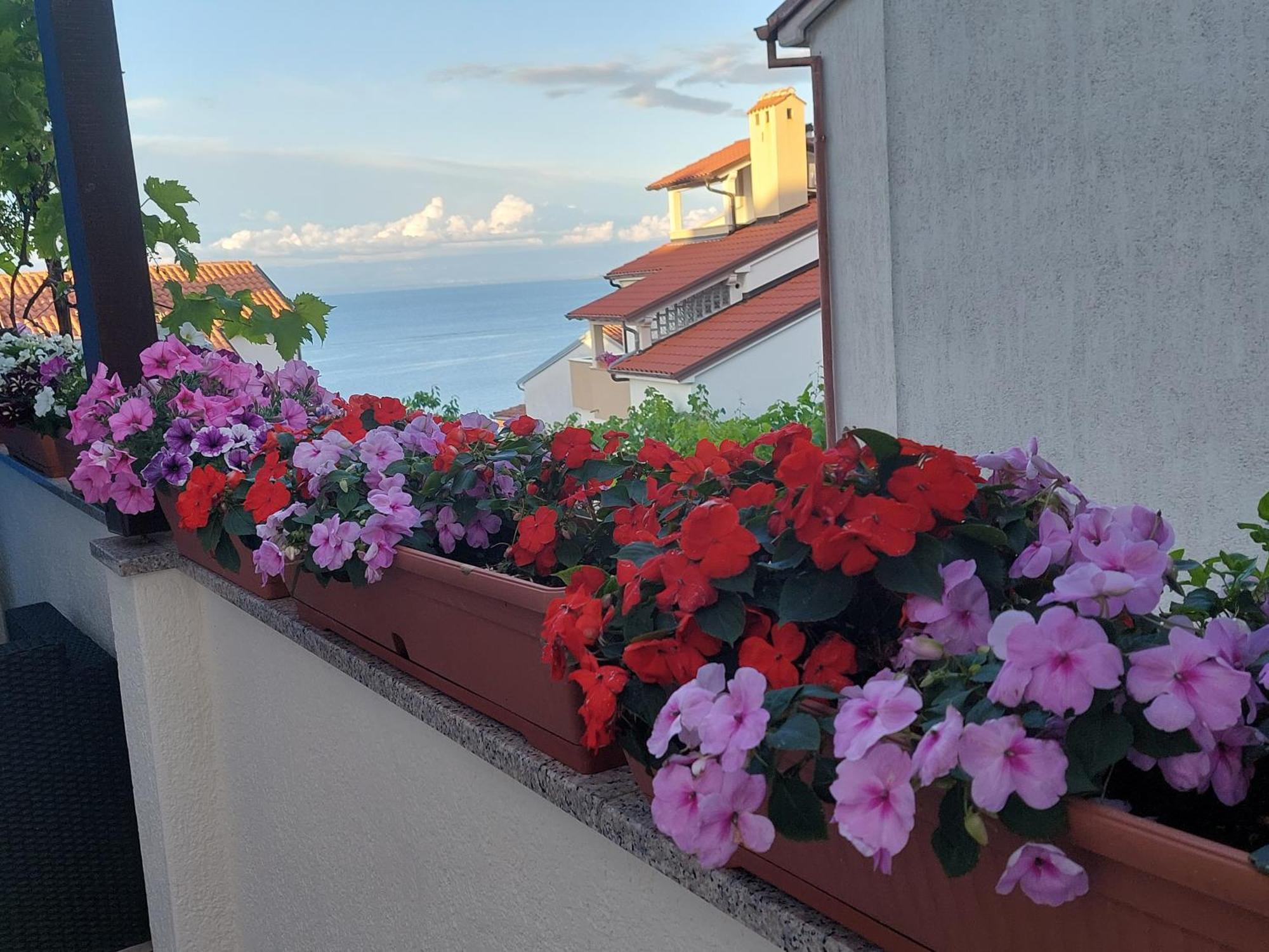 Apartments Suncica Mali Lošinj Εξωτερικό φωτογραφία