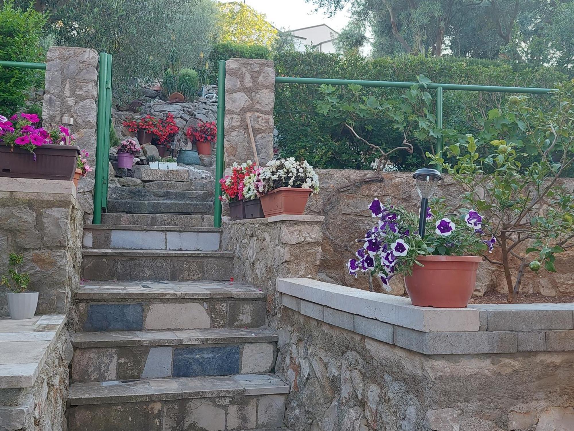 Apartments Suncica Mali Lošinj Εξωτερικό φωτογραφία