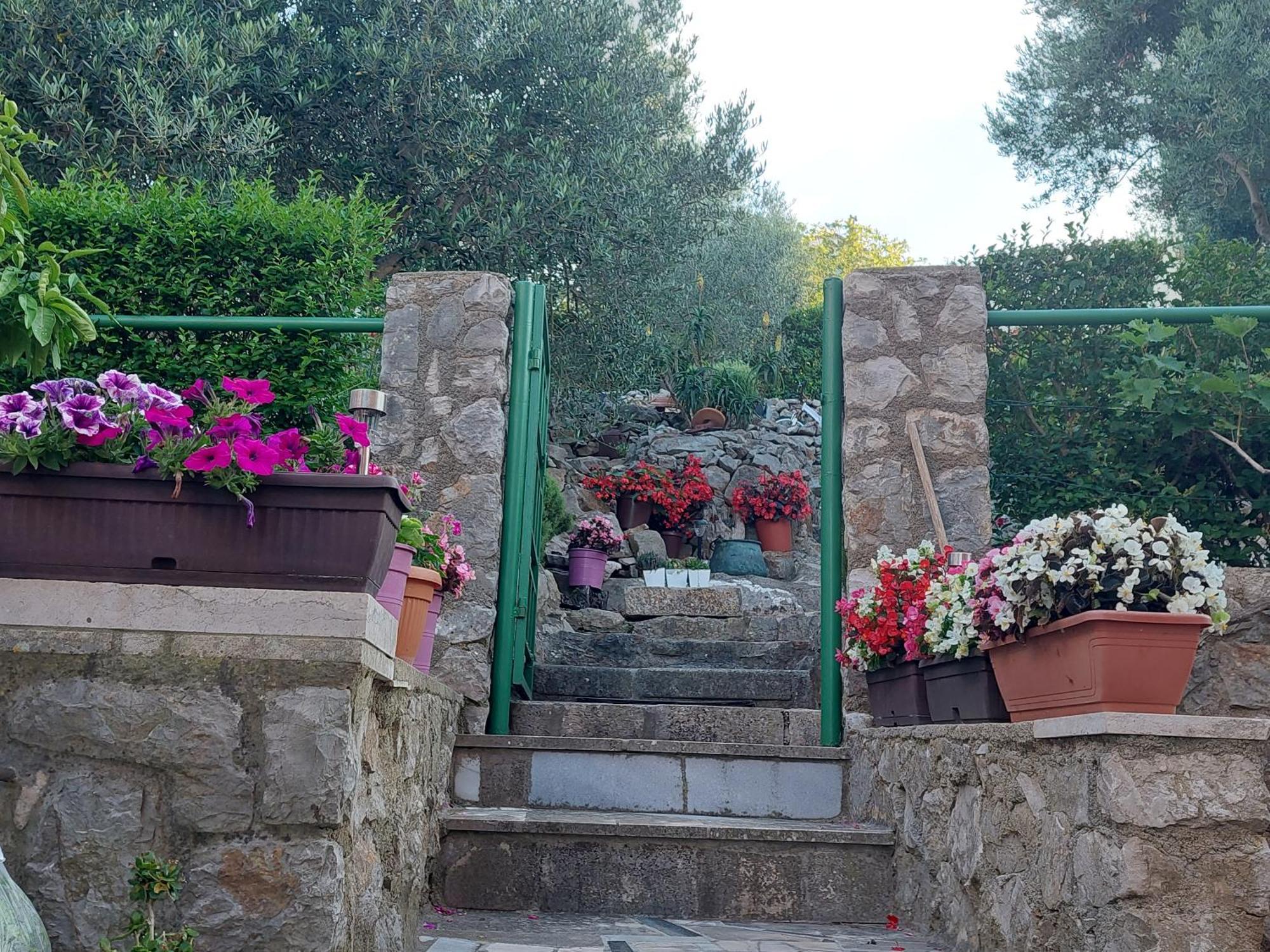 Apartments Suncica Mali Lošinj Εξωτερικό φωτογραφία